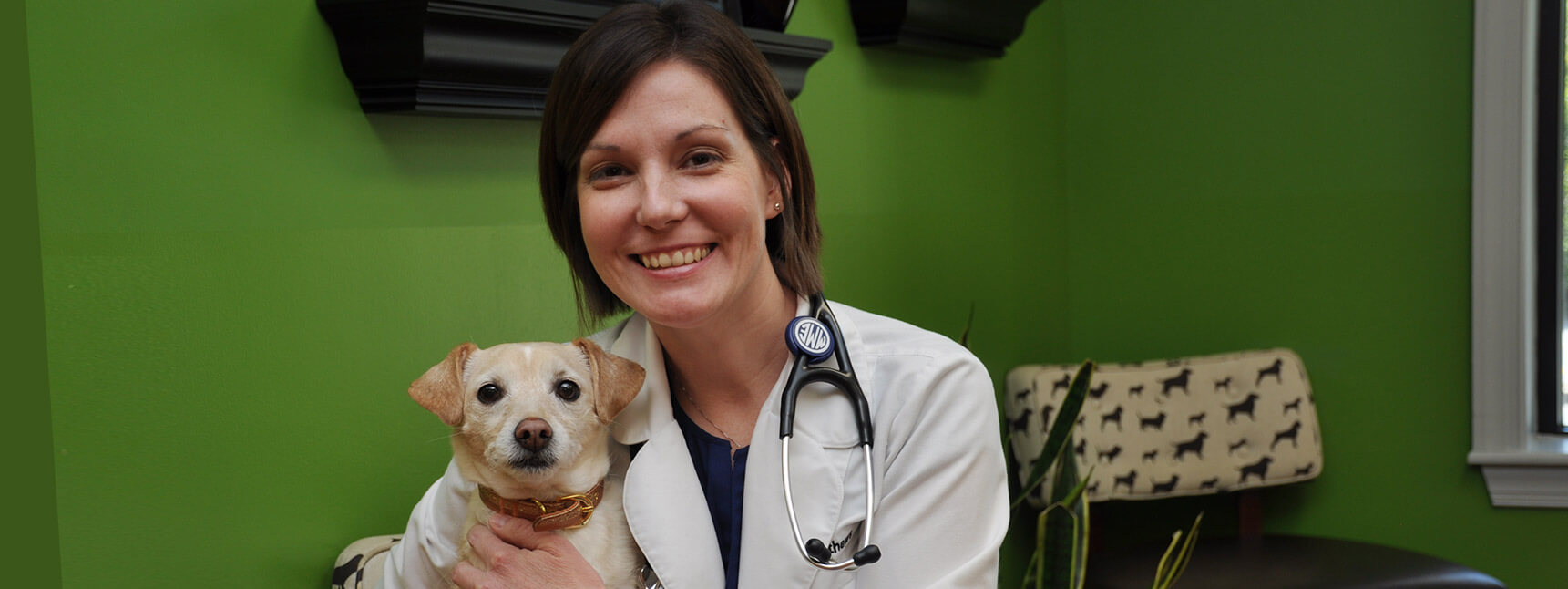 Montrose Animal Hospital and Pet HotelVeterinarian in East Cobb