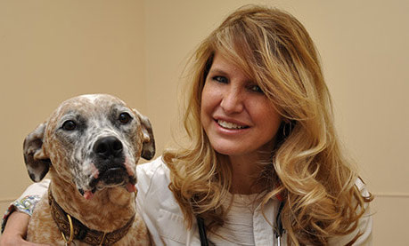 Canine Wellness Care in East Cobb, Marietta GA