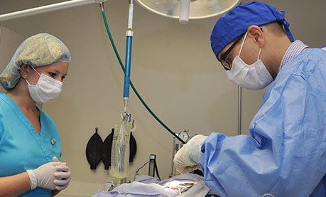 We provide superior surgical care for your pet!