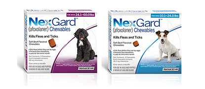 Rebates and Specials at Montrose Animal Hospital