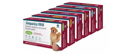 Rebates and Specials at Montrose Animal Hospital